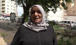 Bilecik’te yaşanan fırtınada üzerine ağaç dalı düşmesinden son anda kurtuldu