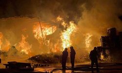 Bursa’da palet fabrikası alevlere teslim oldu