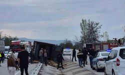 Devrilen kamyonda 53 koyun telef oldu