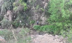 Dilenci önde zabıta amiri arkada adeta maraton koşusuna çıktılar