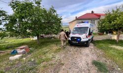 Elazığ’da traktörün altında kalan kişi yaralandı
