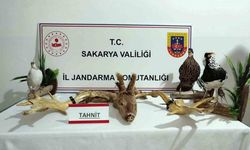 Hayvanat bahçesi gibi ev: Evinden çıkanlar hayrete düşürdü