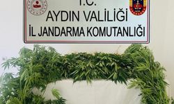 Jandarma ekipleri uyuşturucuya geçit vermedi