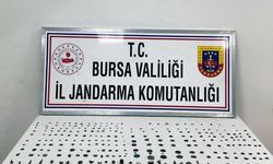 Jandarmadan tarihi eser operasyonu: 1 tutuklama