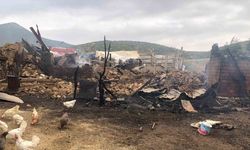 Konya’da yangında bir ev ve ahır kül oldu