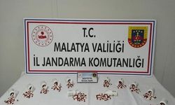 Malatya’da jandarmadan uyuşturucu operasyonu: 2 kişi tutuklandı