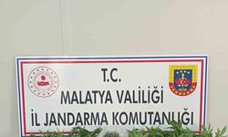 Malatya’da uyuşturucu operasyonu: 3 tutuklama