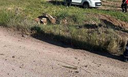 Mardin’de hafif ticari araç boş alana uçtu: 4 kişi yaralandı