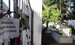 Marmaris’te vatandaşı canından bezdiren domuzlar, şimdi de mezarları tahrip etmeye başladı
