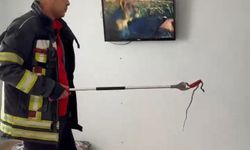 Mersin’de 2 gün önce eve giren yılanı itfaiye erleri bulup çıkarttı