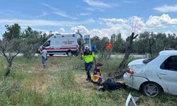 Bursa'da otomobil zeytinliğe uçtu