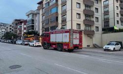 Bursa'da motora giren kedi, yaklaşık 2 saat sonra çıkarıldı