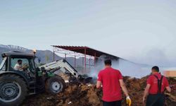 Samanlık yangını büyümeden söndürüldü