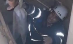 Şanlıurfa´da havalandırma boşluğuna düşen 3 yavru kedi kurtarıldı
