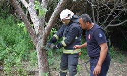 Serik’te ağlara dolanan yılanı itfaiye kurtardı