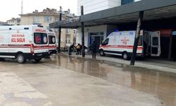 Sinop’ta mantar zehirlenmesi