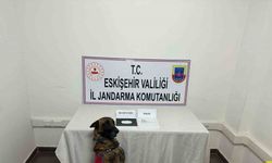 Uyuşturucu taşıyan şahıs yakalandı