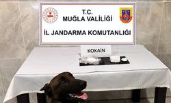 Yatağan’da yolcu otobüsünde 290 gram kokain yakalandı