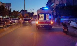 Yola fırlayan kedi kazaya neden oldu: 1 yaralı