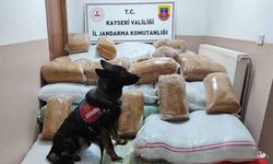 Yolcu otobüsünde 1 buçuk ton kaçak tütün yakalandı
