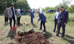 İnegöl'de 15 fidan toprakla buluştu!