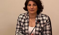 Bursa Veteriner Hekimler Odası'ndan T61 tepkisi