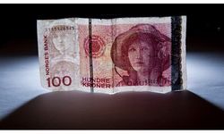 Ne dolar ne euro! İşte yükselen para birimi