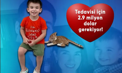 Küçük Kuzey’in umudu Bursa’da yeşeriyor