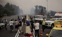 İsrail'de tarihi yangın: Uluslararası yardım çağrısı