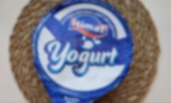 Tarihi geçmedi ama küflendi: Yoğurtta şaşkına çeviren manzara!