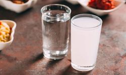 Efe Rakı grubuna zam!