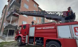 Fare kovma yöntemi hastanelik etti