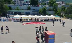Bursa Yıldırım Ulubatlı Hasan Anadolu Lisesi'nden TUBİTAK başarısı