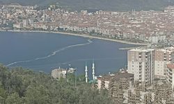 Bursa'nın kabusu müsilaj geri döndü!