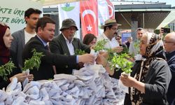 Osmangazi Belediyesi'nden fide dağıtımı