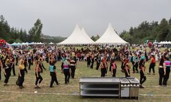16. Hasanağa Enginar Festivali coşkuyla kutlandı