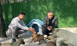 Sedat Akar’dan Sokak Hayvanları Tedavi Merkezi’ne ziyaret