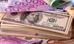Dolar yükseldi, euro düştü