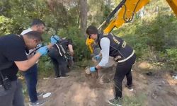 7 yıldır kayıp olan kadın cinayete kurban gitmiş