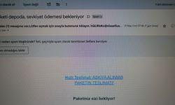 Dolandırıcılar da artık teknolojiye ayak uydurdu