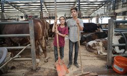 Kurban pazarının en küçük emekçileri 8 yaşındaki Ecrin ve 12 yaşındaki abisi Aytaç