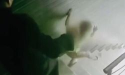 Acımasız baba, küçük kızına tekme atarak merdivenlerden yuvarladı