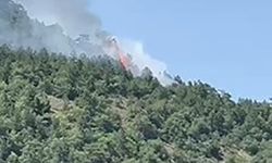 Ankara’da orman yangını çıktı