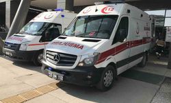 Elazığ’da 100 acemi kasap hastanelik oldu