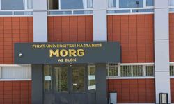 Elazığ’da uçurumdan düşen genç hayatını kaybetti