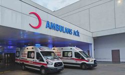 DEM Van Milletvekili Dindar geçirdiği kazada yaralandı