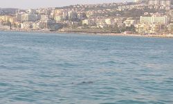Kuşadası’nda denizde ceset bulundu