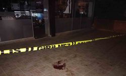 Maltepe’de binanın 3. katının camından aşağı atlayan genç kadın yaralandı