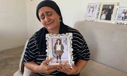 Narin Güran davasında sanık annenin avukatı kararın bozulması için Yargıtay’a başvurdu