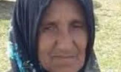 Ordu’da hafriyat kamyonunun çarptığı kadın hayatını kaybetti
